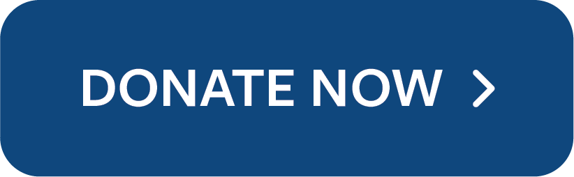 Blue "donate now" button.